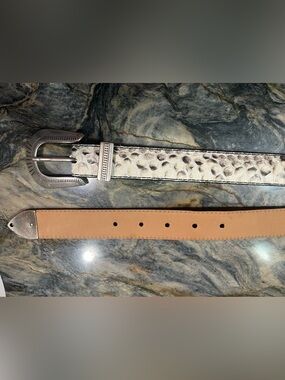 Lucchese Women’s Python Belt - Medium